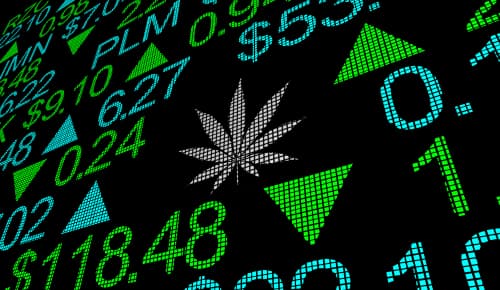 Where can I find streamlined banking services for cannabis operators