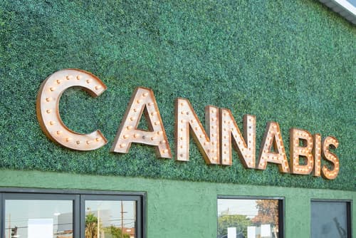How to make my dispensary stand out