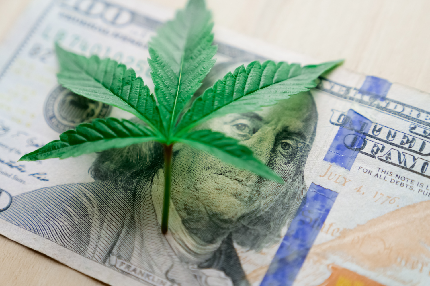 What Are Cannabis Business Models | Dispensary Banking Services